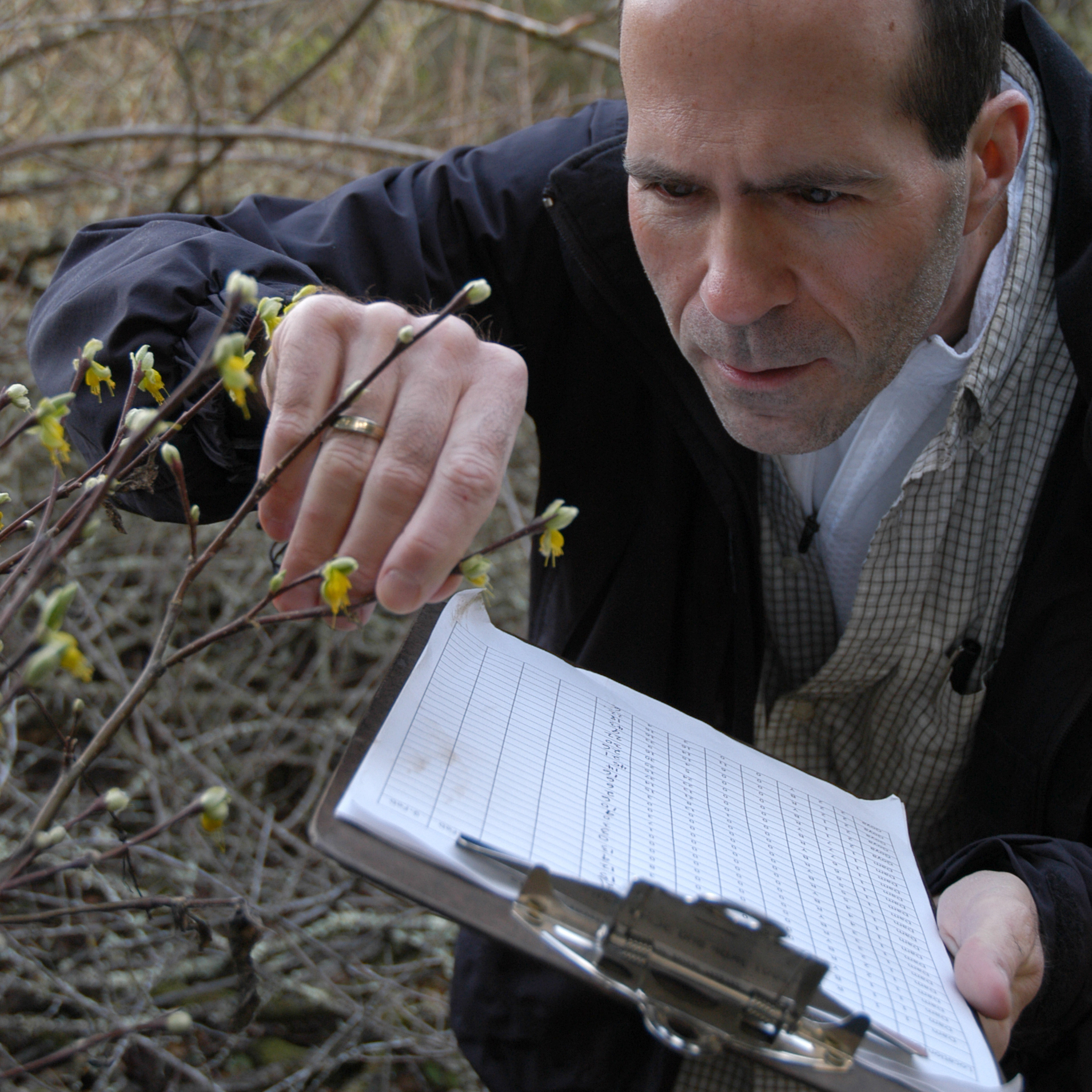 Bill Graves monitoring his study plants