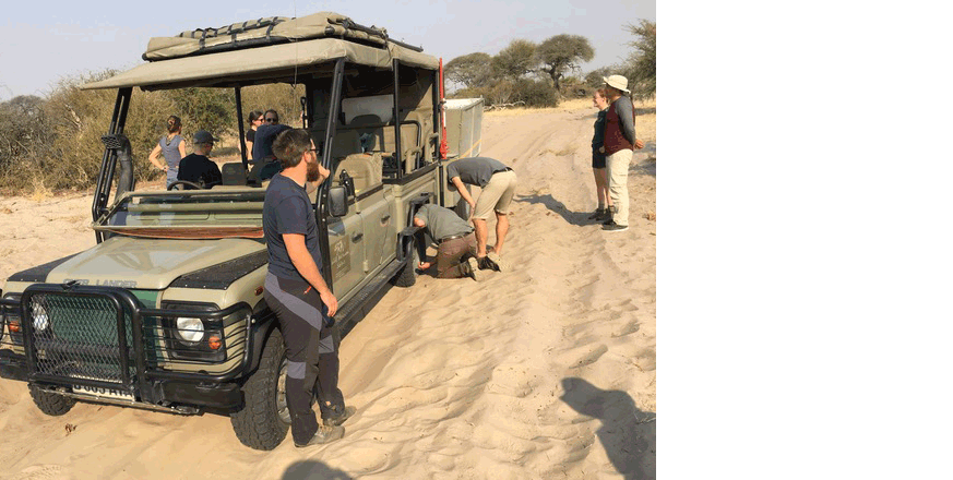 Stuck in the sand in Botswana