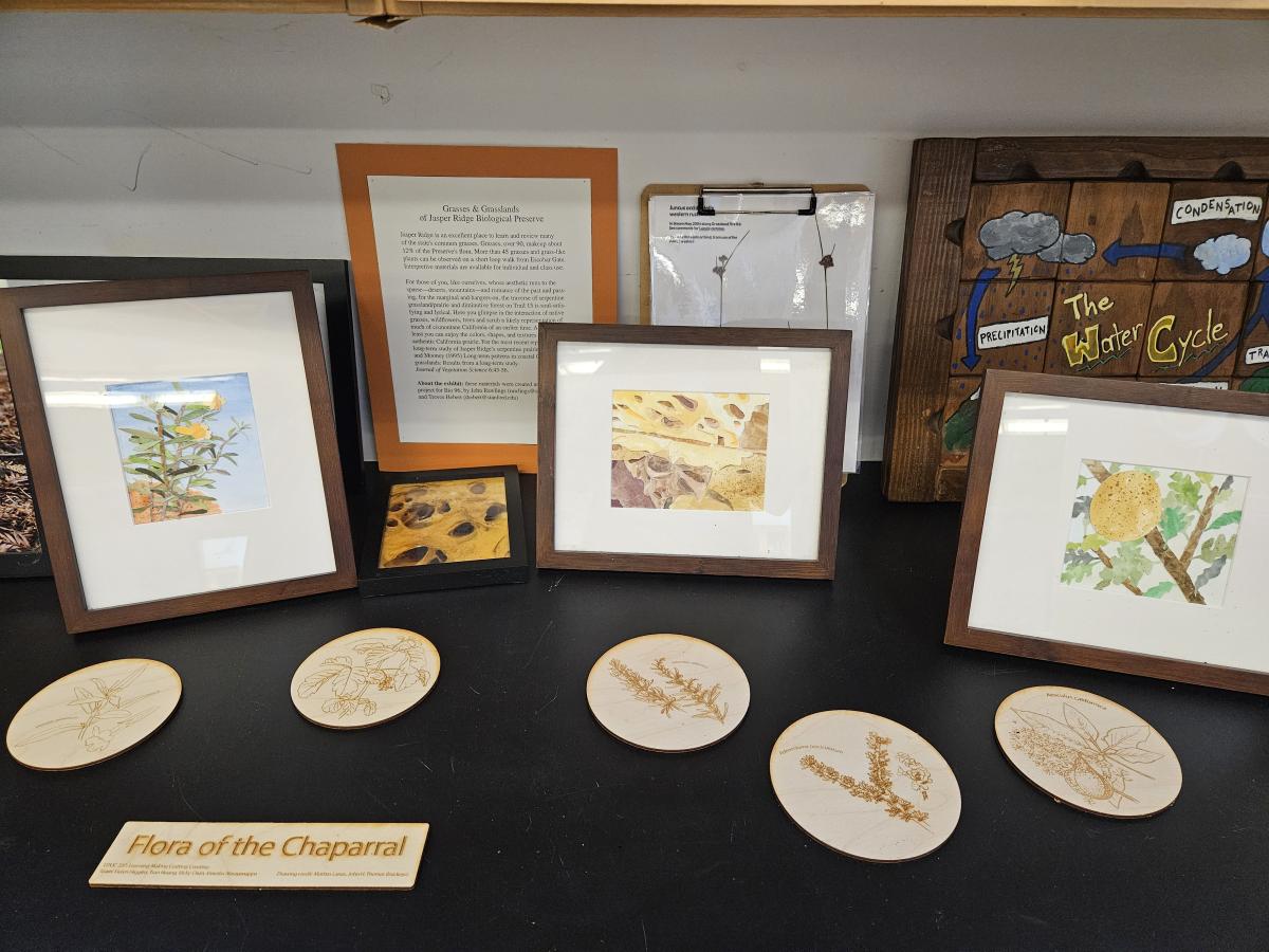 Lab counter with original watercolors, art, coaster, projects on Jasper Ridge organisms