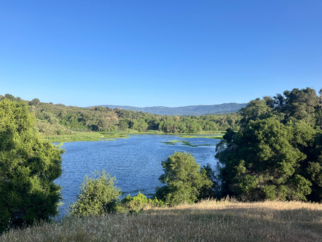 View looking south over Searsville Lake in May 2024