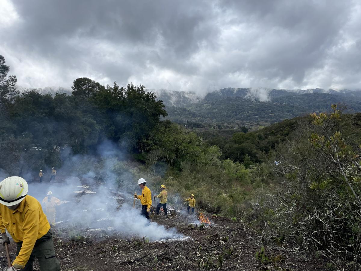 View of fire personnel monitoring pile burning as part of a planned prescribed burn project at Jasper Ridge. One burn crew member is managing a fire in the foreground, and three crew members are in the middle distance standing by nearly completely burned piles. In the distant background, fog and clouds are seen on the Santa Cruz Mountains on an overcast day.