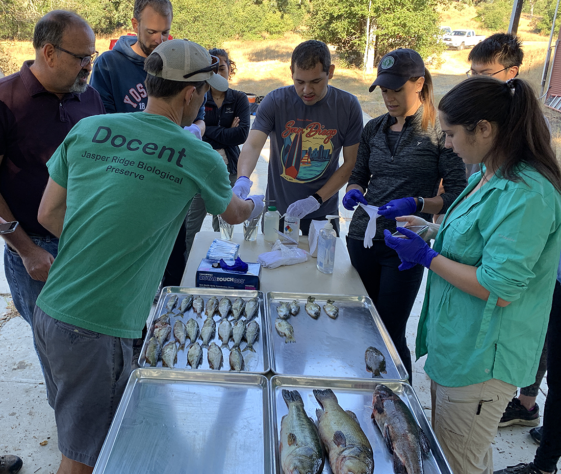 Fish sampling group - Alan Launer, Associate Director of Conservation Planning at Stanford helping the Hadly lab members with fish identifications for the sampling effort.