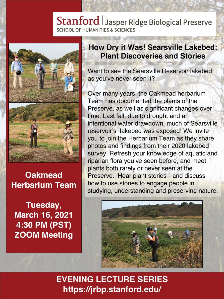 How Dry it Was! Searsville Lakebed: Plant Discoveries and Stories