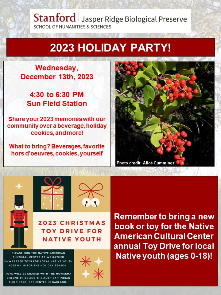 Holiday party flyer