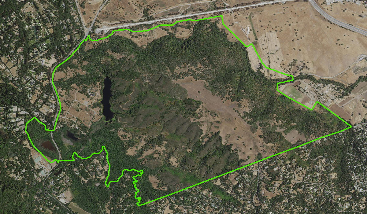 Aerial view of Jasper Ridge Biological Preserve