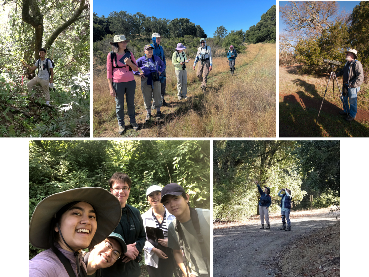 A photo collage of various birding teams