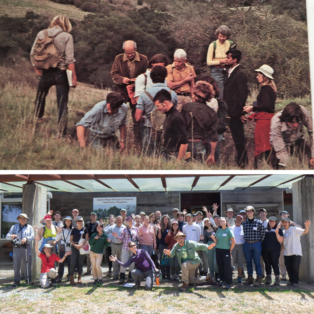 docent class of 1975 (top) and 2024 (bottom) 