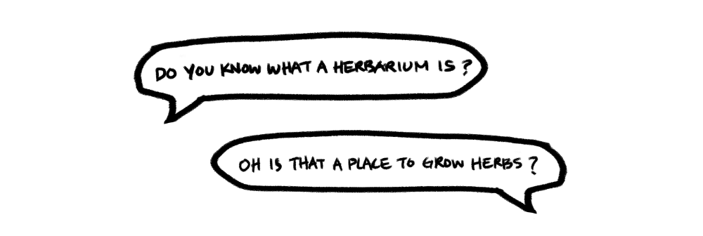 Do you know what an herbarium is?