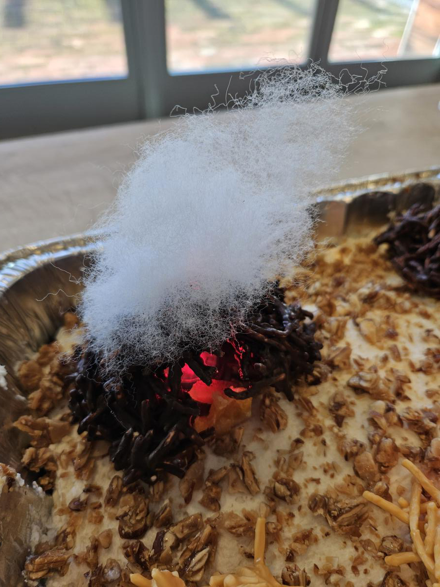 Close up photo of a cake. Cake is iced in cream, covered with chopped smoked almonds, and on top of the cake is a what looks like a burn pile of vegetation made out of noodles and chocolate. Inside the pile is a red LED light to make the pile glow, and out of the pile is what looks like smoke rising with decorative fluff.