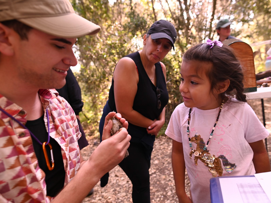 Tribal members Aria Cazares looking at a Swainson’s thrush as Julian Tattoni shows how to band a bird. Photo by Marina Luccioni.