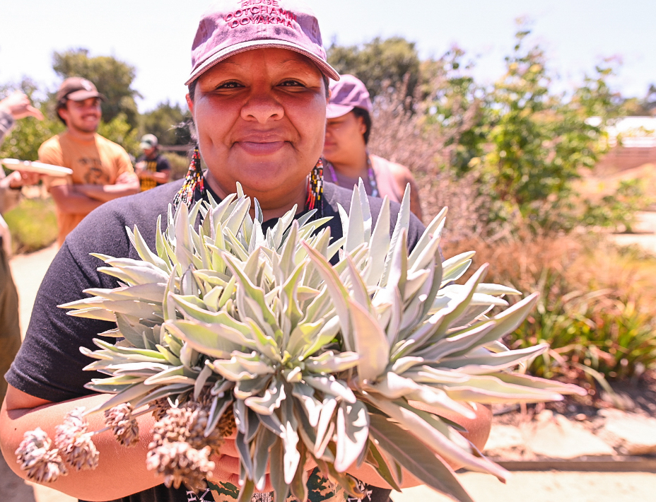 Tribal member Bernadette Quiroz with white sage leaves harvested at the Muwekma Four Directions garden. Photo by Marina Luccioni.