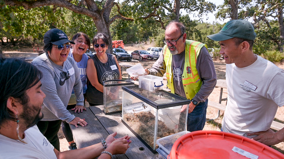 Tribal members Lisa Avila, Dian Leyba, and Michelle Martinez learn about  California toads that Alan Launer had collected locally, with Stanford student Noah Macias and JRBP('O'O) Faculty Director Tad Fukami. Photo by Marina Luccioni.