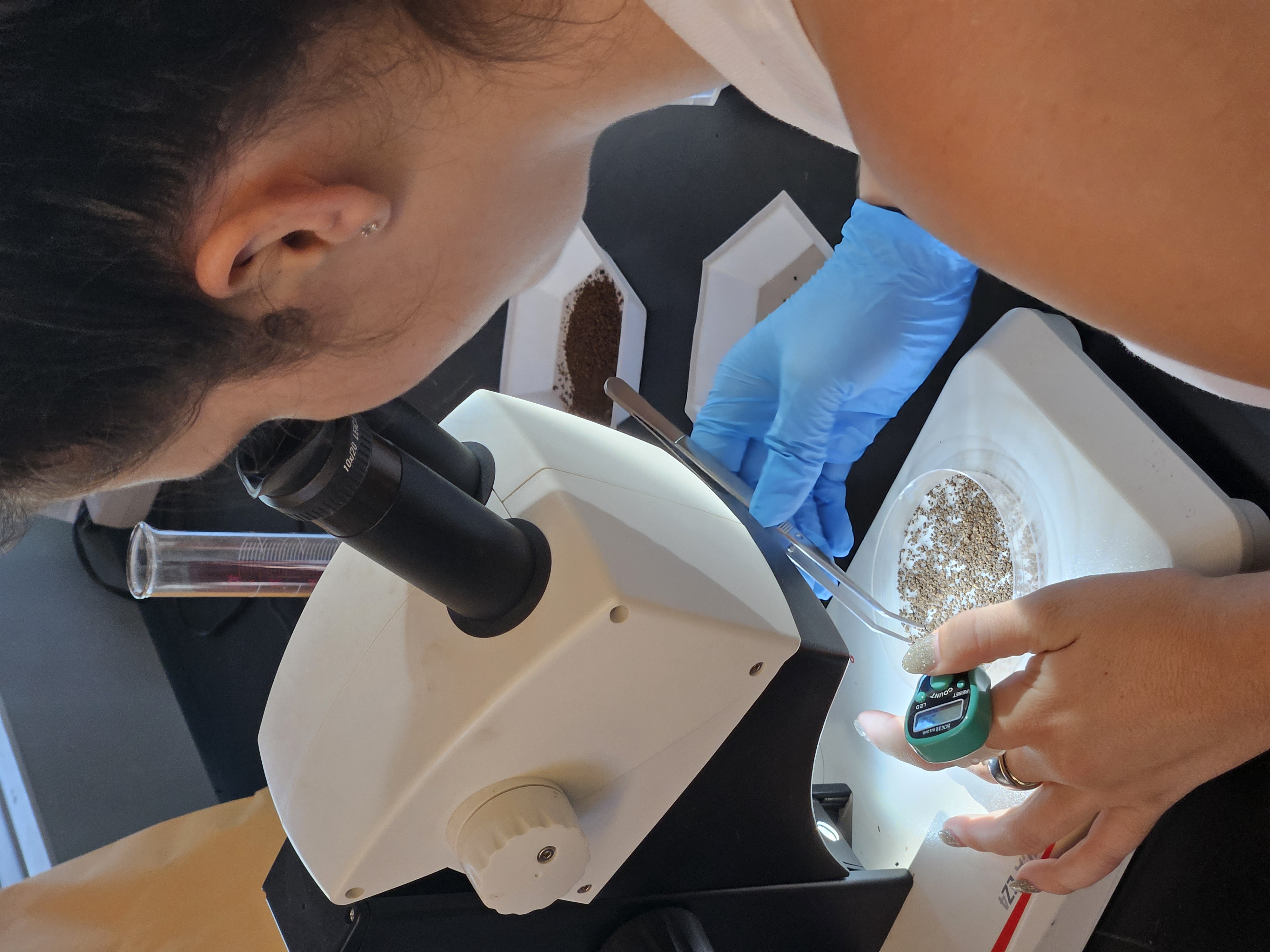 Lydia cleans seeds out of soil under the microscope