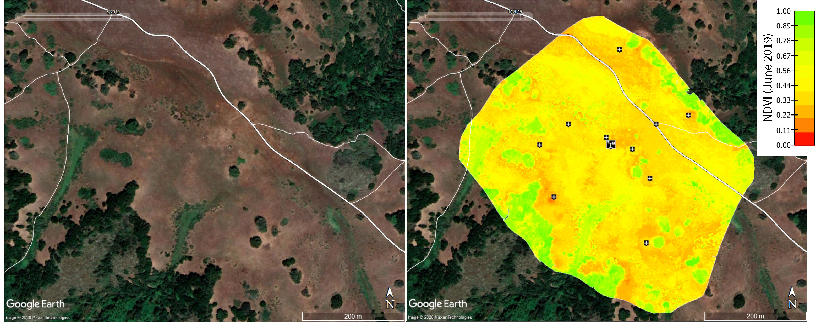 Google Earth image without and with NDVI map