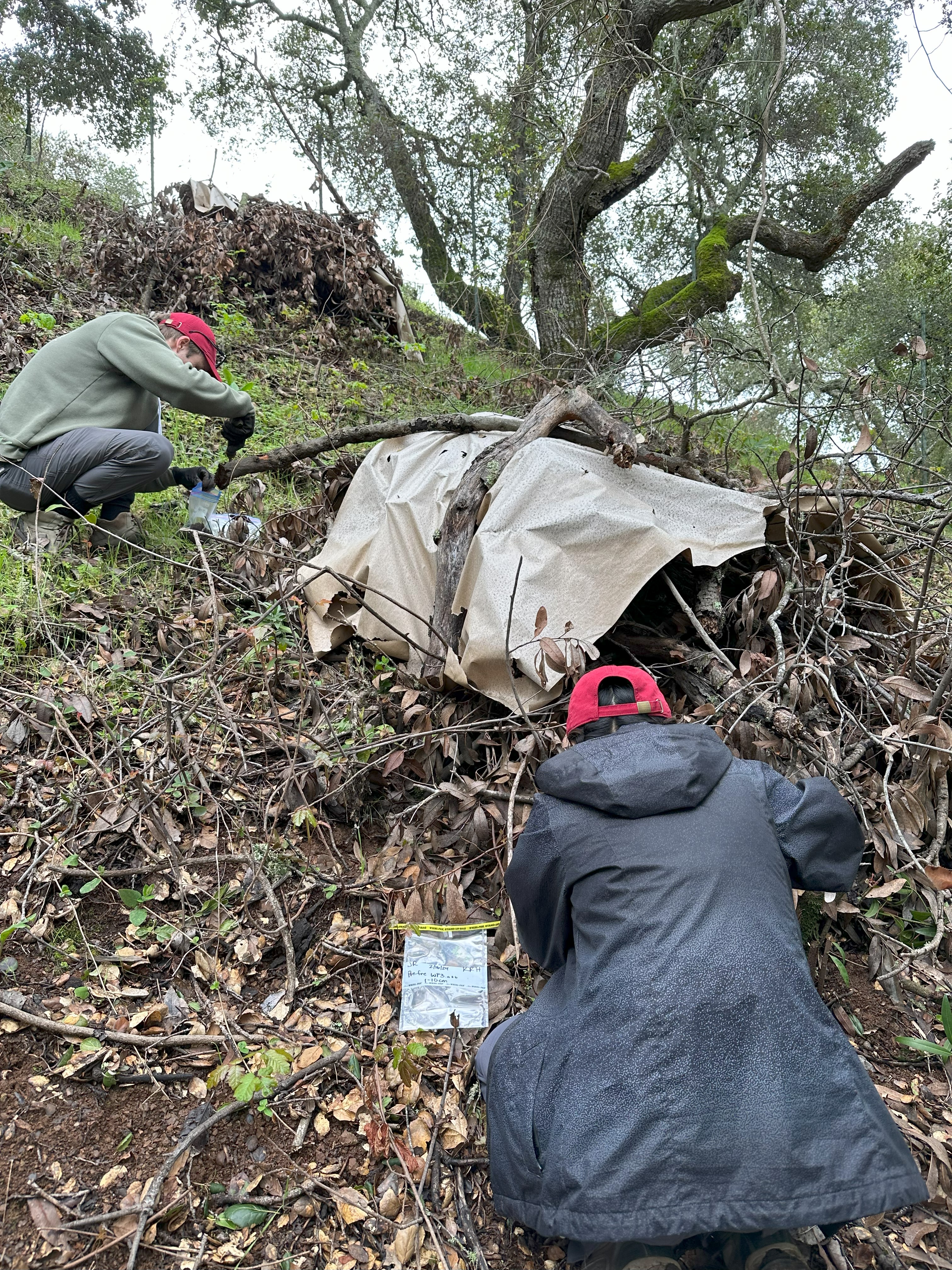 Student researchers sample soil before the prescribed fire