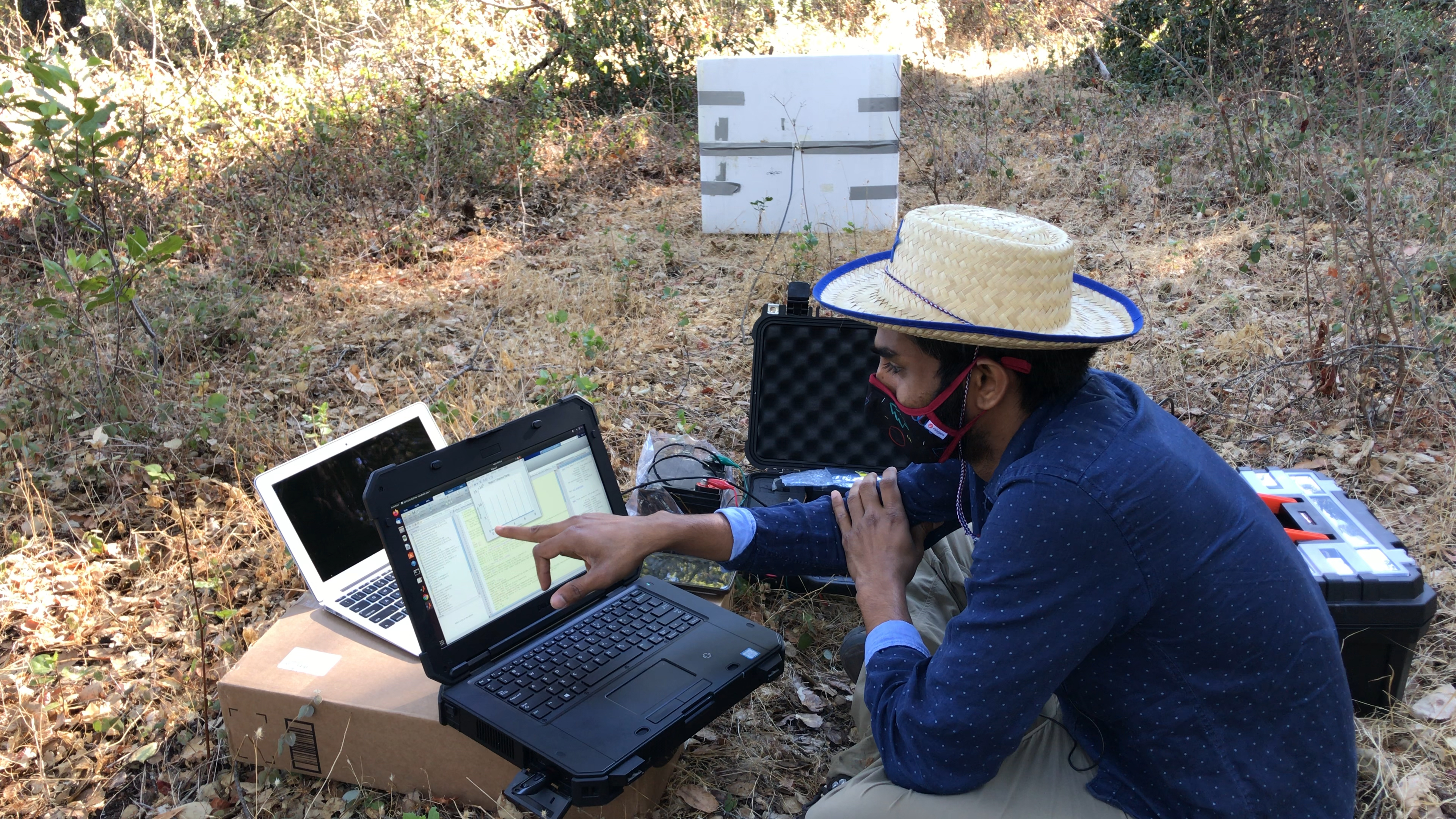 Testing sideways radar for monitoring forest hydrology