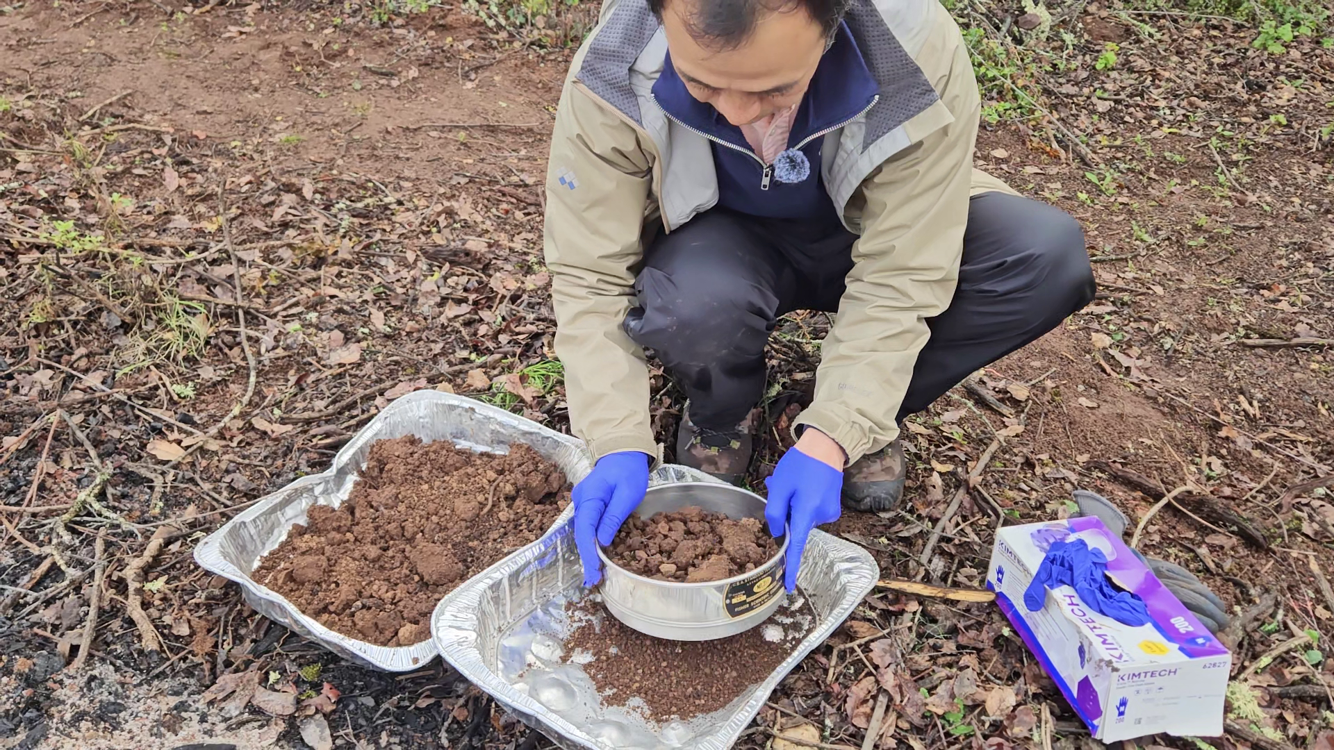 Prof. Tad Fukami sieves soil sampled from a burn pile