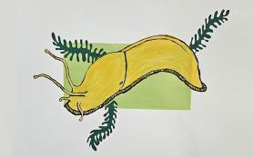 Hand-painted banana slug from a vintage poster for the Jasper Ridge docent class