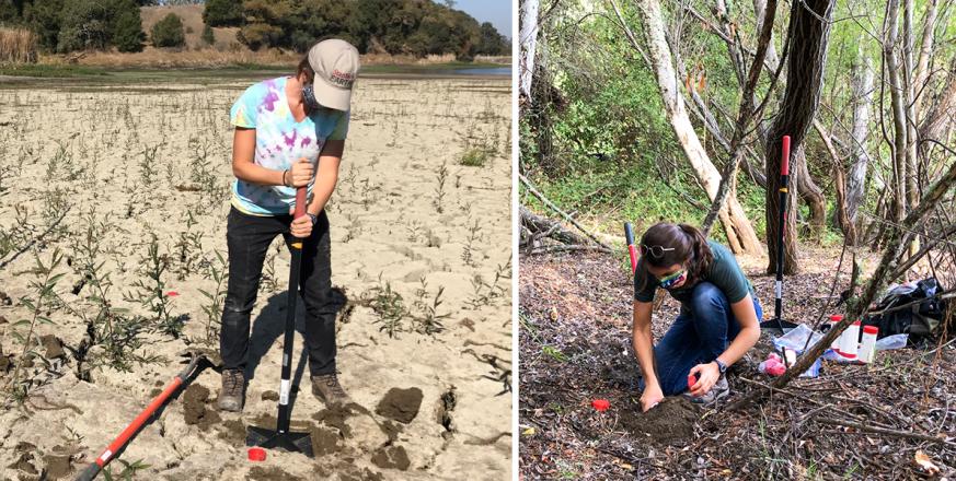 Emily Lacroix sampling soil and sediment in and near Searsville Lake
