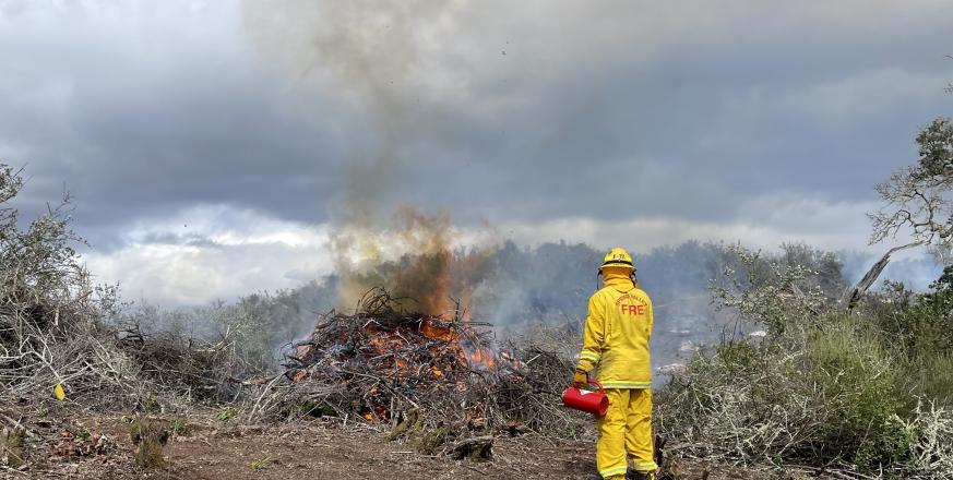 Photo of a fire crew member wearing all yellow fire resistant clothes and caring a red drip torch watching a pile they just ignited. Fire adn smoke is visible as the approximately 6 by 6 byy 5 ft pile is just catching fire. The pile is made of