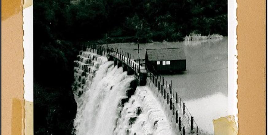 Searsville dam