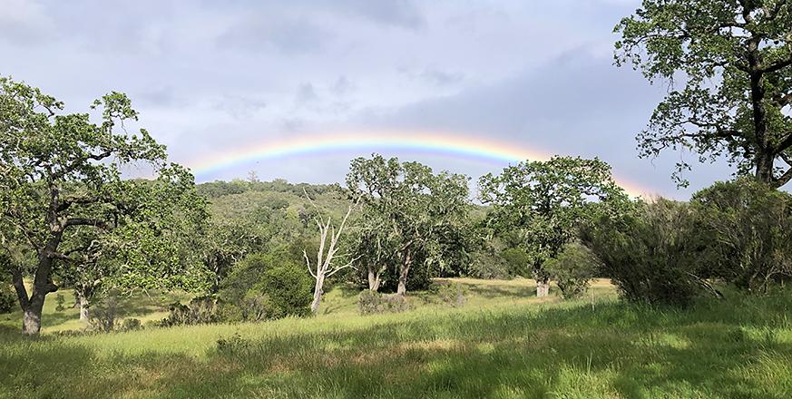 Rainbow over Jasper Ridge Biological Preserve - 'Ootchamin 'Ooyakma
