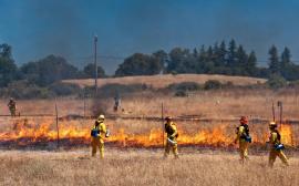Six fire personnel wearing yellow safety gear and equipment are managing burning on a grassland plot of tall yellow-blonde grass on the left side of the image. On the right side and background of the image, completed plots with completed burns can be seen, as noted by blackened burned grass and exposed soil. 