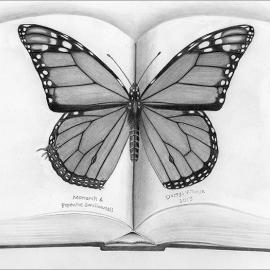 ©2015 Darryl Wheye Pencil drawing asks if visually-hunting predators that avoid dot-patterned larvae, like those of Battus philenor (Pipevine Swallowtail) that feed on pipevine species and sequester aristolochic acid, also avoid dot-patterned monarchs 