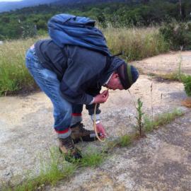 Sampling ants for the bi-yearly ant survey (Subject: David Moss, volunteer) by Jane Moss