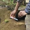 River water samples are collected in a falcon tube