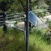 Monitoring station at Searsville Dam showing datalogger and PV panel along trail west of lake.